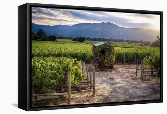 Little Shed, Napa Valley, California-George Oze-Framed Stretched Canvas