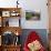Little Shed, Napa Valley, California-George Oze-Stretched Canvas displayed on a wall