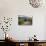 Little Shed, Napa Valley, California-George Oze-Stretched Canvas displayed on a wall