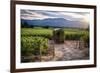 Little Shed, Napa Valley, California-George Oze-Framed Photographic Print