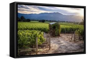 Little Shed, Napa Valley, California-George Oze-Framed Stretched Canvas