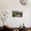 Little Shed, Napa Valley, California-George Oze-Photographic Print displayed on a wall