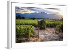 Little Shed, Napa Valley, California-George Oze-Framed Photographic Print