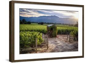 Little Shed, Napa Valley, California-George Oze-Framed Photographic Print