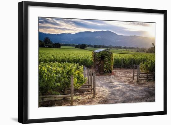 Little Shed, Napa Valley, California-George Oze-Framed Photographic Print