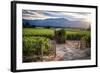 Little Shed, Napa Valley, California-George Oze-Framed Photographic Print