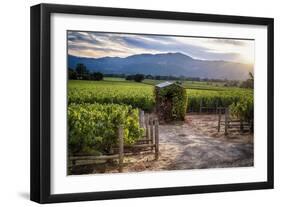 Little Shed, Napa Valley, California-George Oze-Framed Photographic Print