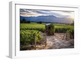 Little Shed, Napa Valley, California-George Oze-Framed Photographic Print