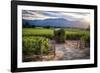 Little Shed, Napa Valley, California-George Oze-Framed Photographic Print