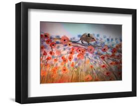 Little Shrew-Claire Westwood-Framed Art Print