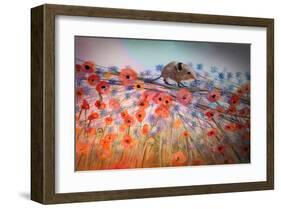 Little Shrew-Claire Westwood-Framed Art Print