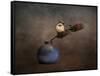 Little Sparrow Friend-Jai Johnson-Framed Stretched Canvas