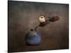 Little Sparrow Friend-Jai Johnson-Stretched Canvas