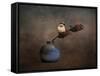 Little Sparrow Friend-Jai Johnson-Framed Stretched Canvas