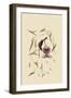 Little Sparrow-Mark Catesby-Framed Art Print