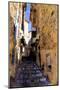 Little Stairs, La Villa, France-Nicolas Hugo-Mounted Giclee Print