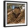 Little Stream-Sheldon Lewis-Framed Art Print