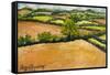 Little Suffolk Landscape-Joan Thewsey-Framed Stretched Canvas