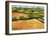 Little Suffolk Landscape-Joan Thewsey-Framed Giclee Print