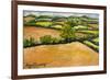 Little Suffolk Landscape-Joan Thewsey-Framed Giclee Print