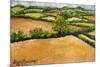 Little Suffolk Landscape-Joan Thewsey-Mounted Giclee Print