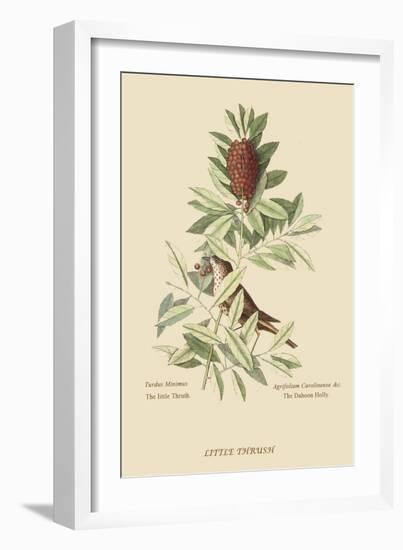 Little Thrush-Mark Catesby-Framed Art Print