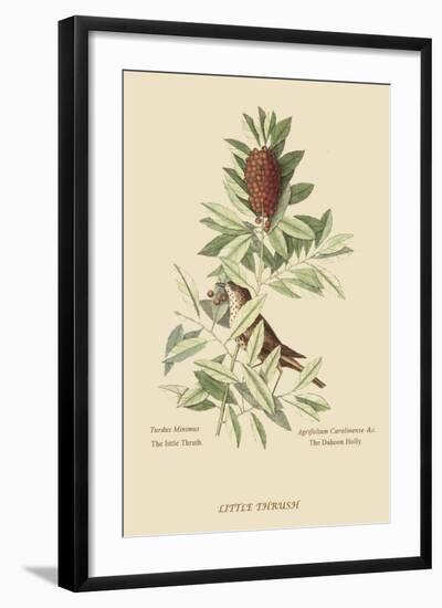 Little Thrush-Mark Catesby-Framed Art Print