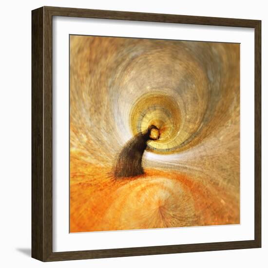 Little Tree-Ursula Abresch-Framed Photographic Print