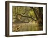 Little Water of Fleet, Fleet Valley National Scenic Area, Dumfries and Galloway, Scotland, UK-Gary Cook-Framed Photographic Print