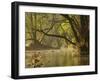 Little Water of Fleet, Fleet Valley National Scenic Area, Dumfries and Galloway, Scotland, UK-Gary Cook-Framed Photographic Print