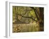 Little Water of Fleet, Fleet Valley National Scenic Area, Dumfries and Galloway, Scotland, UK-Gary Cook-Framed Photographic Print