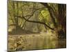 Little Water of Fleet, Fleet Valley National Scenic Area, Dumfries and Galloway, Scotland, UK-Gary Cook-Mounted Photographic Print