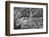 Little Westwater Ruin, Canyonlands National Park, Utah-John Ford-Framed Photographic Print