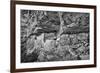 Little Westwater Ruin, Canyonlands National Park, Utah-John Ford-Framed Photographic Print