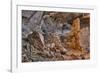 Little Westwater Ruin, Canyonlands National Park, Utah-John Ford-Framed Photographic Print