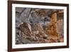 Little Westwater Ruin, Canyonlands National Park, Utah-John Ford-Framed Photographic Print