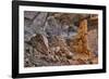 Little Westwater Ruin, Canyonlands National Park, Utah-John Ford-Framed Photographic Print