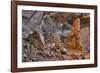 Little Westwater Ruin, Canyonlands National Park, Utah-John Ford-Framed Photographic Print