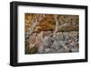 Little Westwater Ruin, Canyonlands National Park, Utah-John Ford-Framed Photographic Print