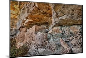 Little Westwater Ruin, Canyonlands National Park, Utah-John Ford-Mounted Photographic Print