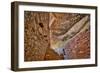 Little Westwater Ruin, Canyonlands National Park, Utah-John Ford-Framed Photographic Print