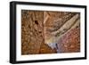 Little Westwater Ruin, Canyonlands National Park, Utah-John Ford-Framed Photographic Print