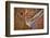 Little Westwater Ruin, Canyonlands National Park, Utah-John Ford-Framed Photographic Print