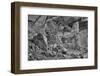 Little Westwater Ruin, Canyonlands National Park, Utah-John Ford-Framed Photographic Print