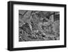 Little Westwater Ruin, Canyonlands National Park, Utah-John Ford-Framed Photographic Print