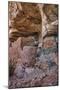 Little Westwater Ruin, Canyonlands National Park, Utah-John Ford-Mounted Photographic Print