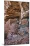 Little Westwater Ruin, Canyonlands National Park, Utah-John Ford-Mounted Photographic Print