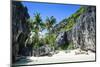 Little White Beach and Crystal Clear Water in the Bacuit Archipelago, Palawan, Philippines-Michael Runkel-Mounted Photographic Print