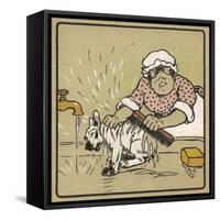 Little White Dog is Washed Under the Cold Tap - He's Not Very Happy About It!-Cecil Aldin-Framed Stretched Canvas