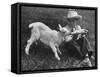 Little White Goat Being Fed from Bottle by Little Boy, at White Horse Ranch-William C^ Shrout-Framed Stretched Canvas